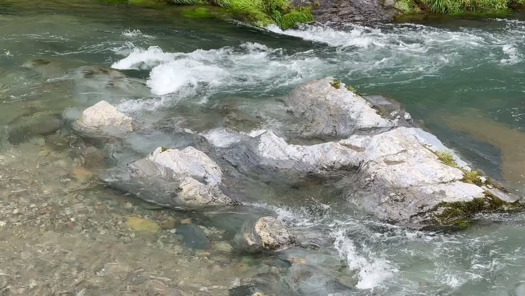 Post 4 by 丹生川上神社下社 on Instagram (video)