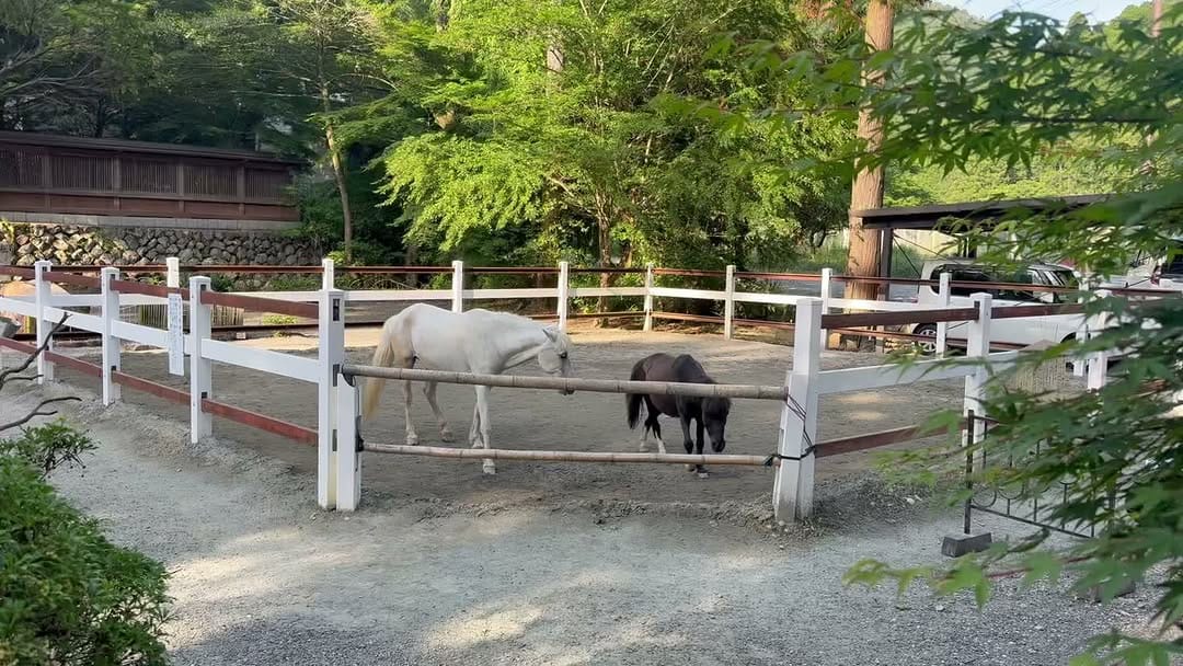 Post 3 by 丹生川上神社下社 on Instagram (video)
