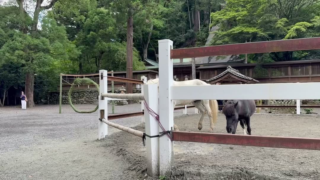 Post 6 by 丹生川上神社下社 on Instagram (video)