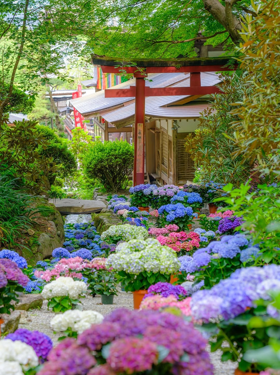 Post 8 by 西国第七番　岡寺 ／ 公式アカウント on Instagram (carousel)