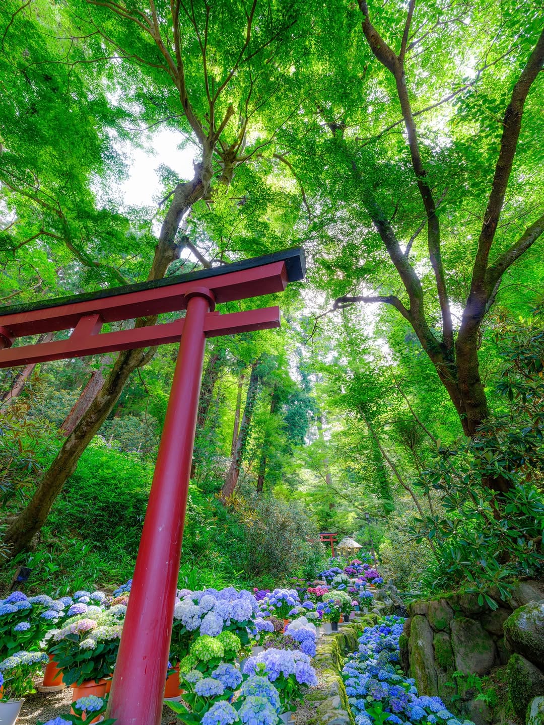 Post 6 by 西国第七番　岡寺 ／ 公式アカウント on Instagram (carousel)