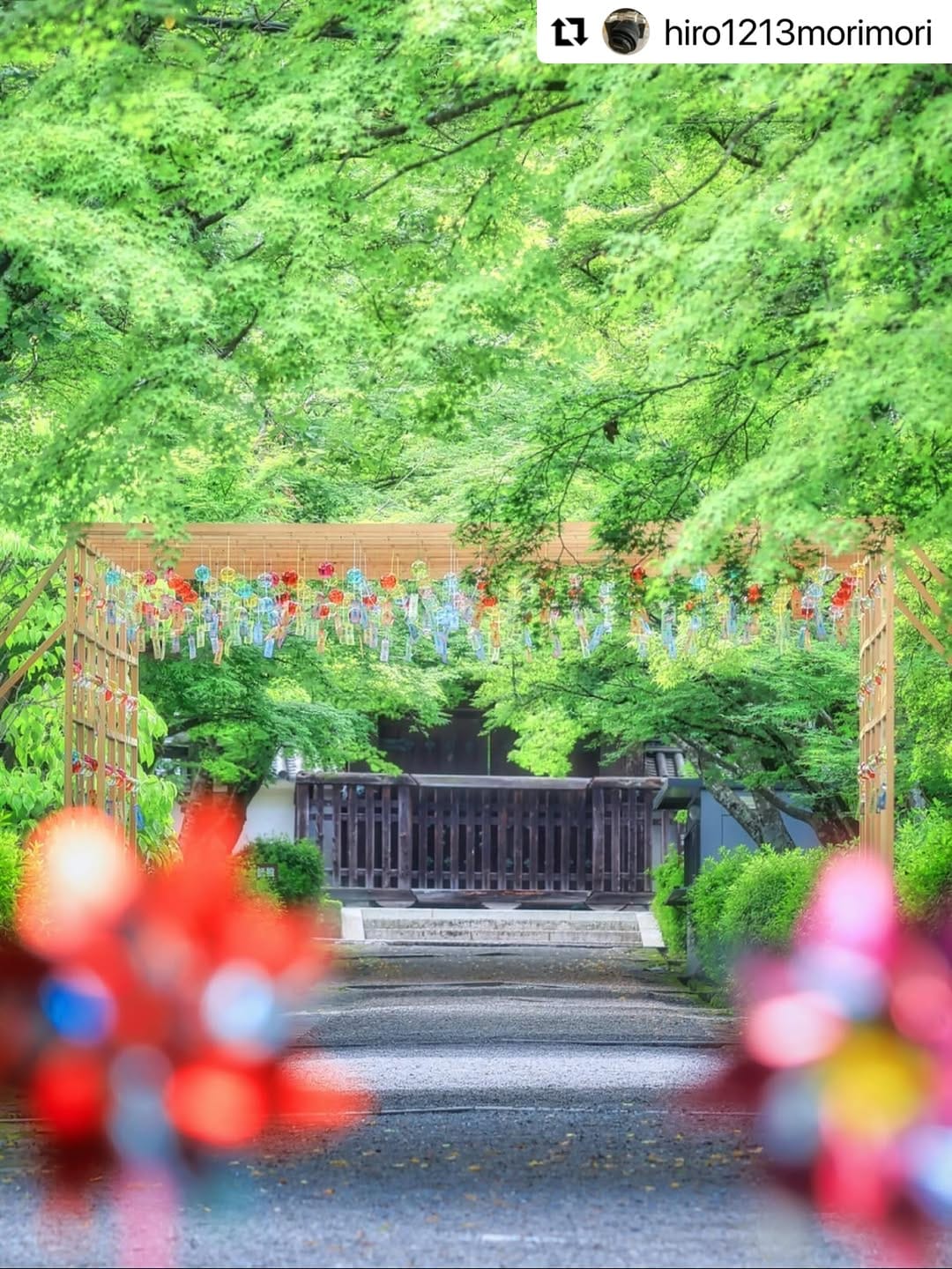 Post 1 by Hello Otsu, Japan:大津市観光振興課 公式 on Instagram (image)