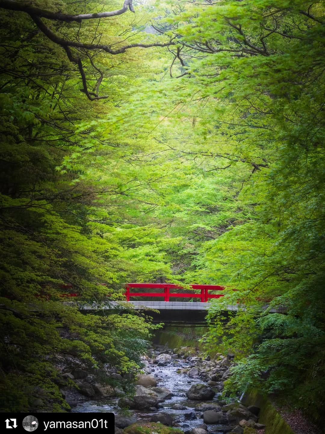Post 6 by Hello Otsu, Japan:大津市観光振興課 公式 on Instagram (image)