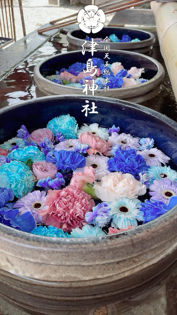 Post 7 by 津島神社［全国天王総本社］ on Instagram (video)