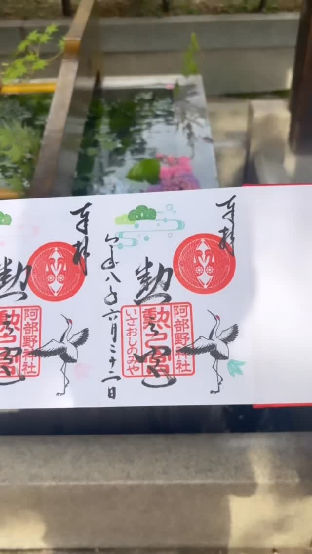 Post 5 by 阿部野神社 on Instagram (video)
