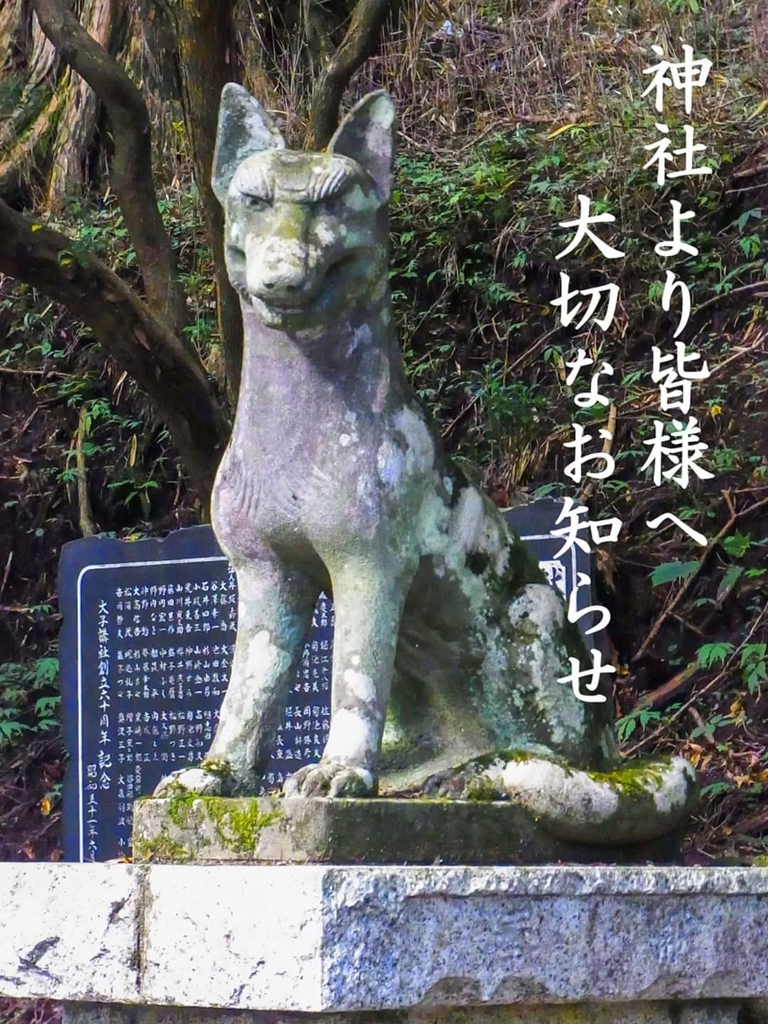 Post 9 by 三峯神社 on Instagram (image)
