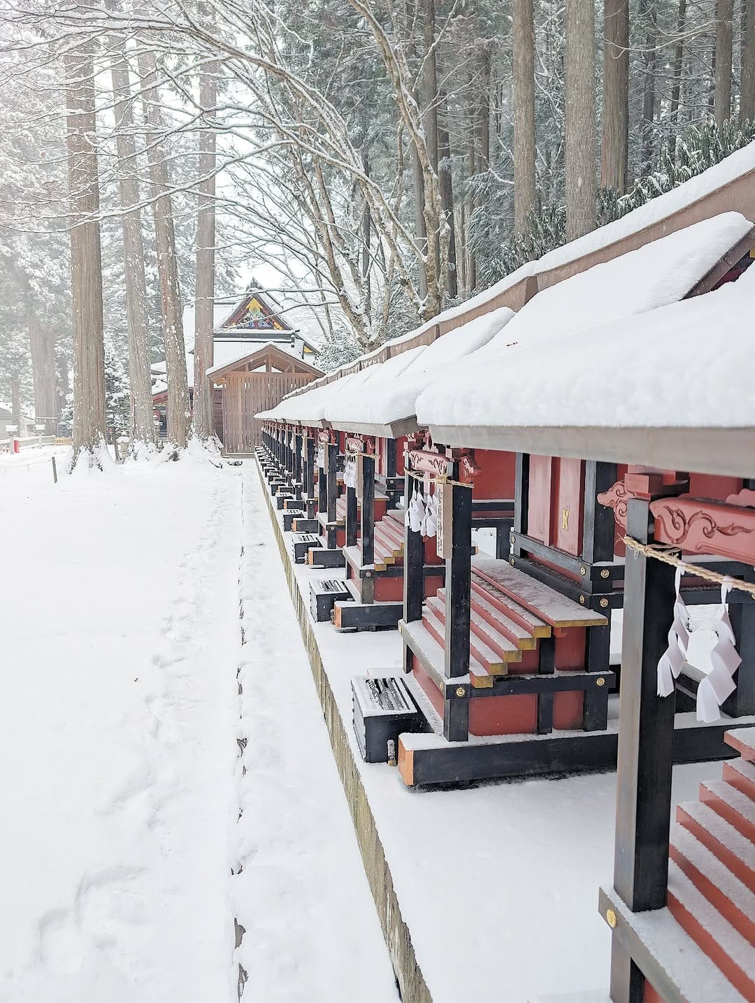 Post 6 by 三峯神社 on Instagram (image)