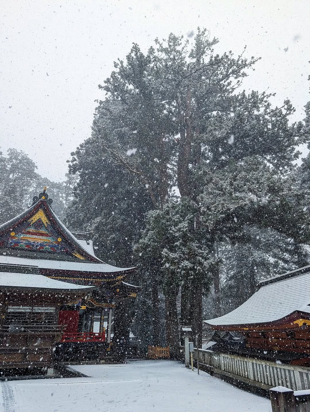 Post 5 by 三峯神社 on Instagram (image)