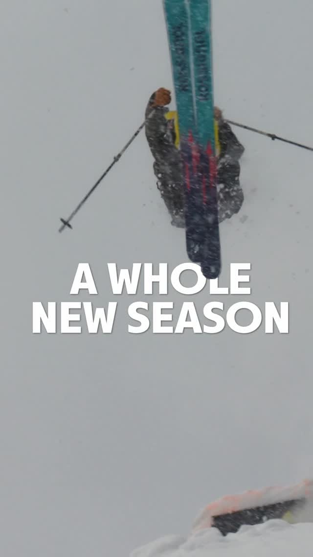Post 6 by Molly Armanino on Instagram (video)