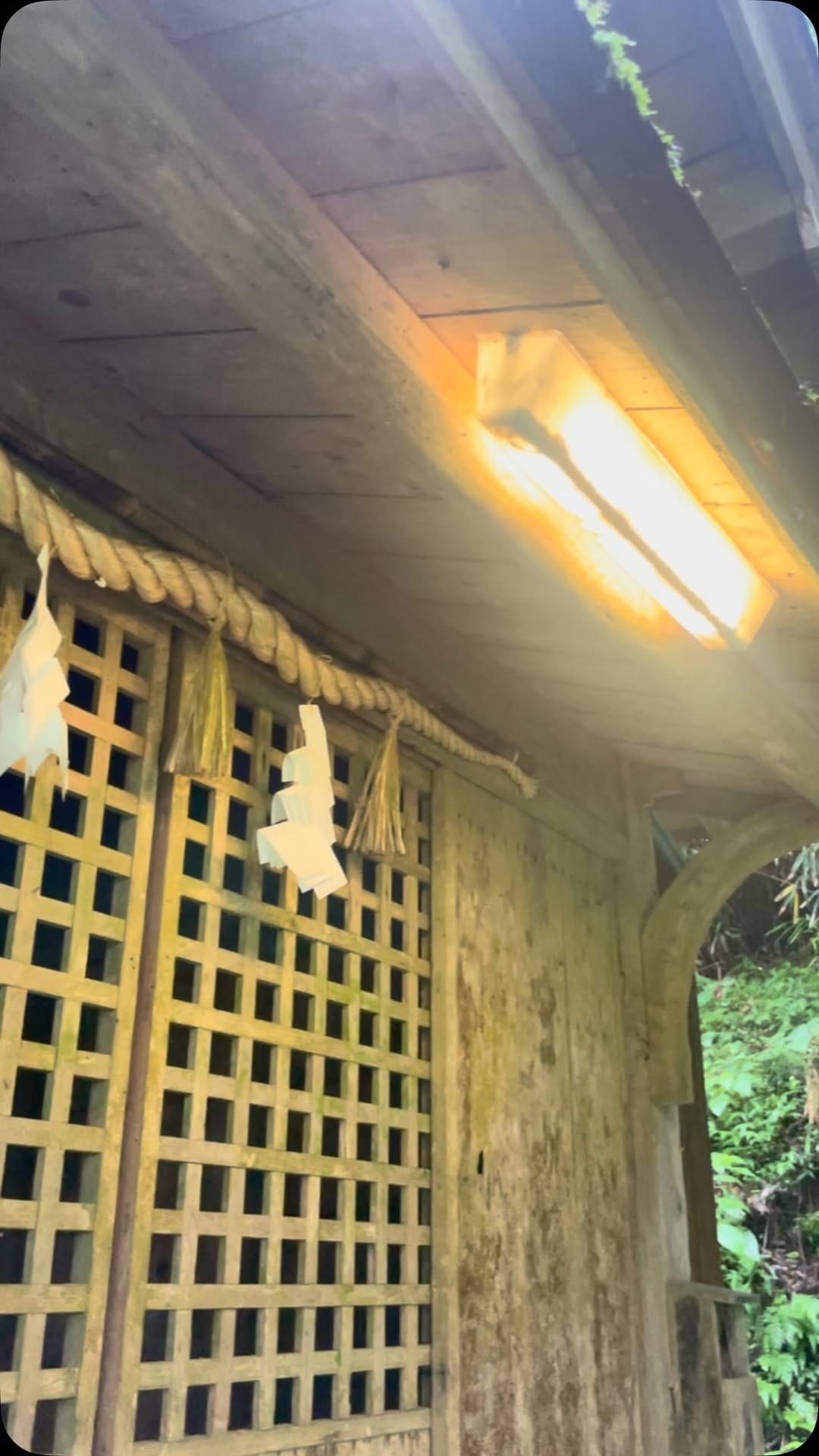 Post 1 by 須佐神社@【令和の御遷宮】 on Instagram (video)