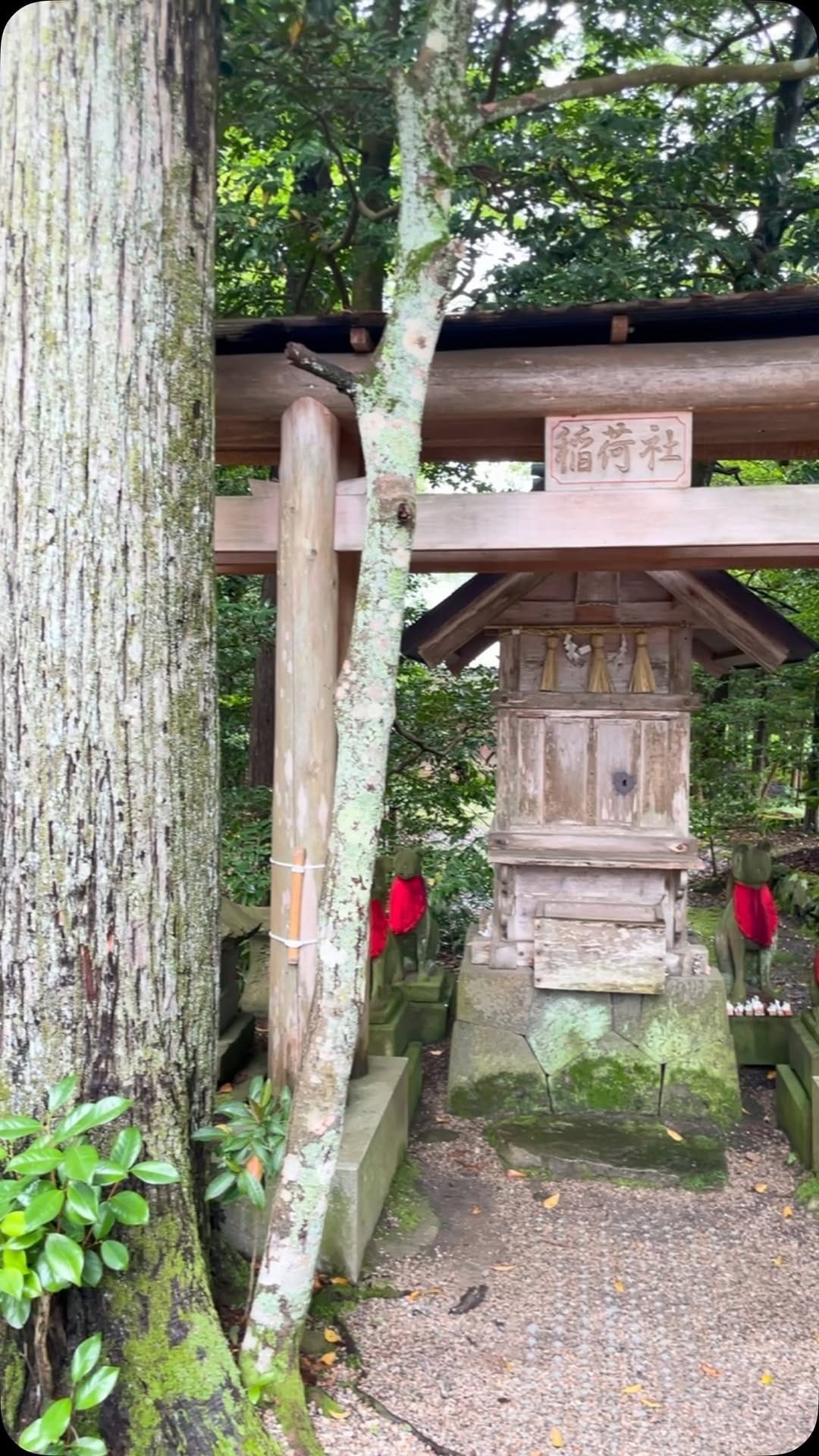 Post 2 by 須佐神社@【令和の御遷宮】 on Instagram (video)