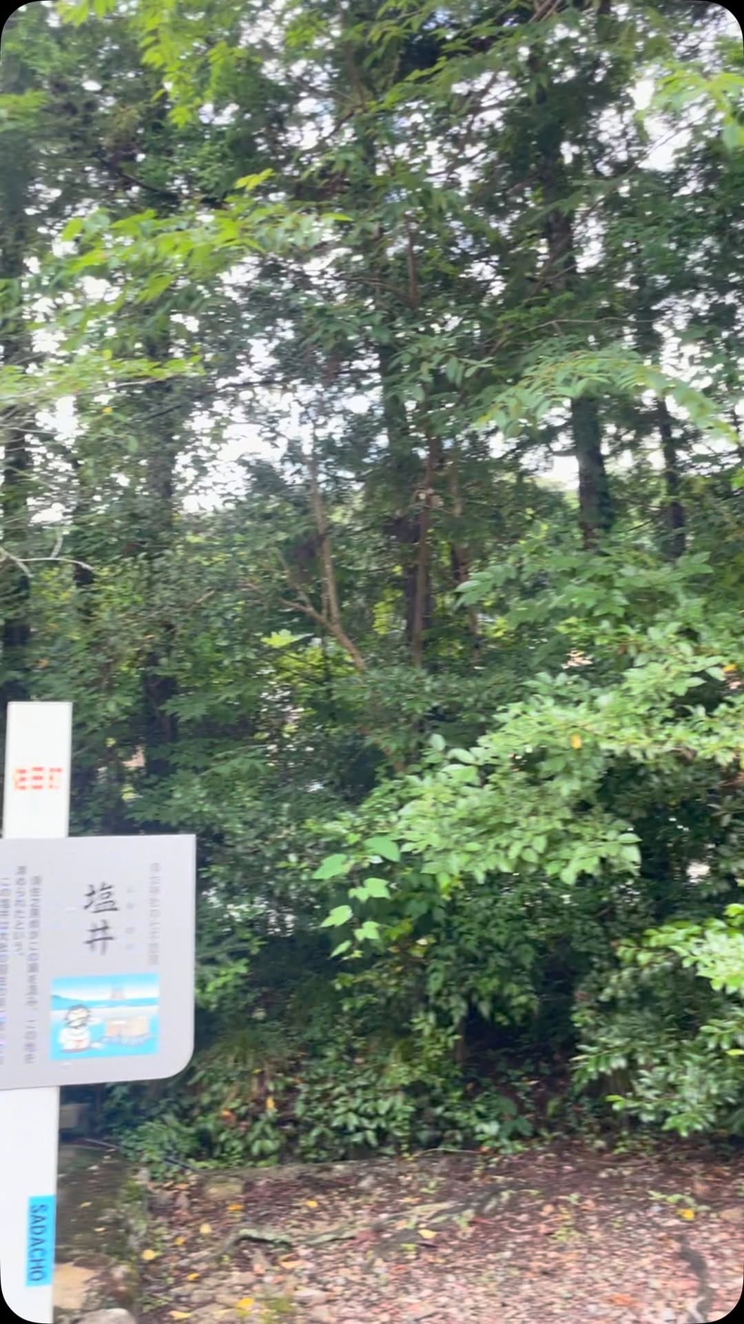 Post 5 by 須佐神社@【令和の御遷宮】 on Instagram (video)