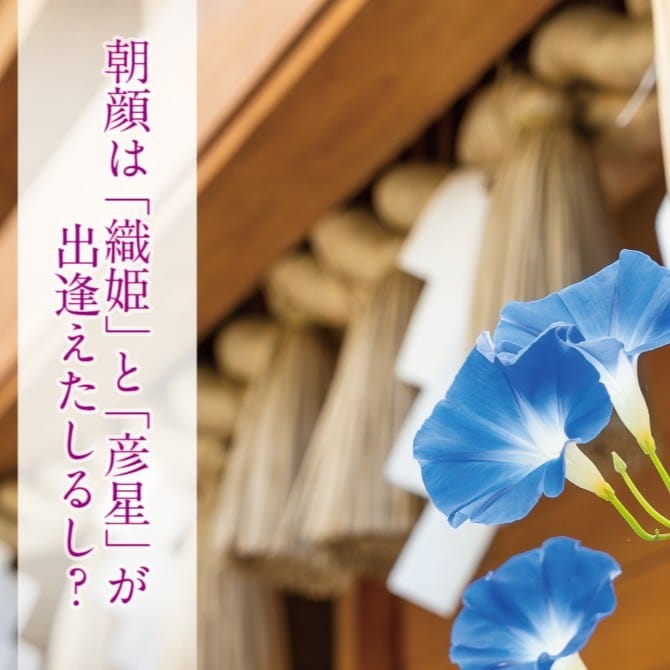 Post 5 by 小野照崎神社｜芸能・仕事・学問の神様【東京・入谷】 on Instagram (carousel)