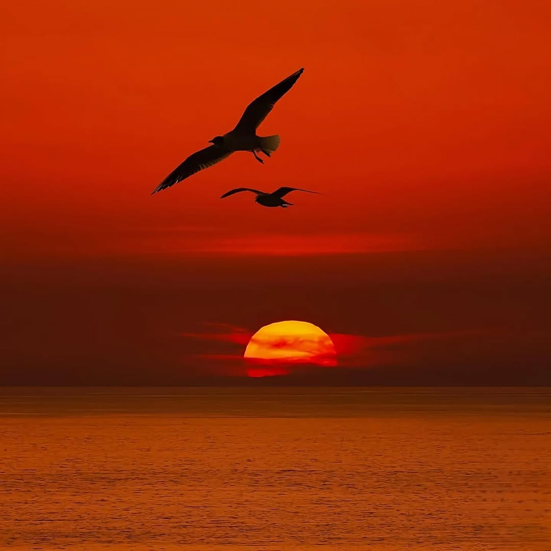 Post 9 by Giuseppe S. Damiano on Instagram (image)