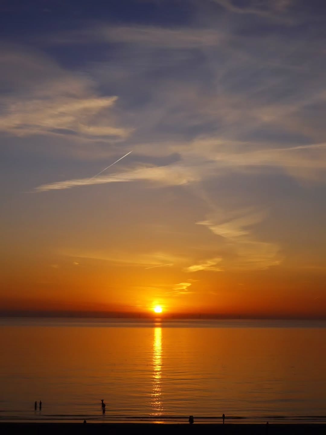 Post 5 by Giuseppe S. Damiano on Instagram (image)