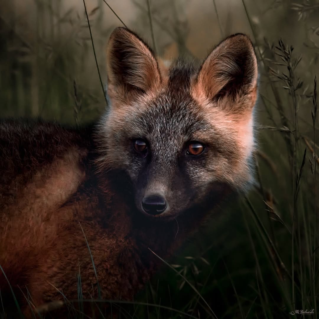 Post 1 by Giuseppe S. Damiano on Instagram (image)