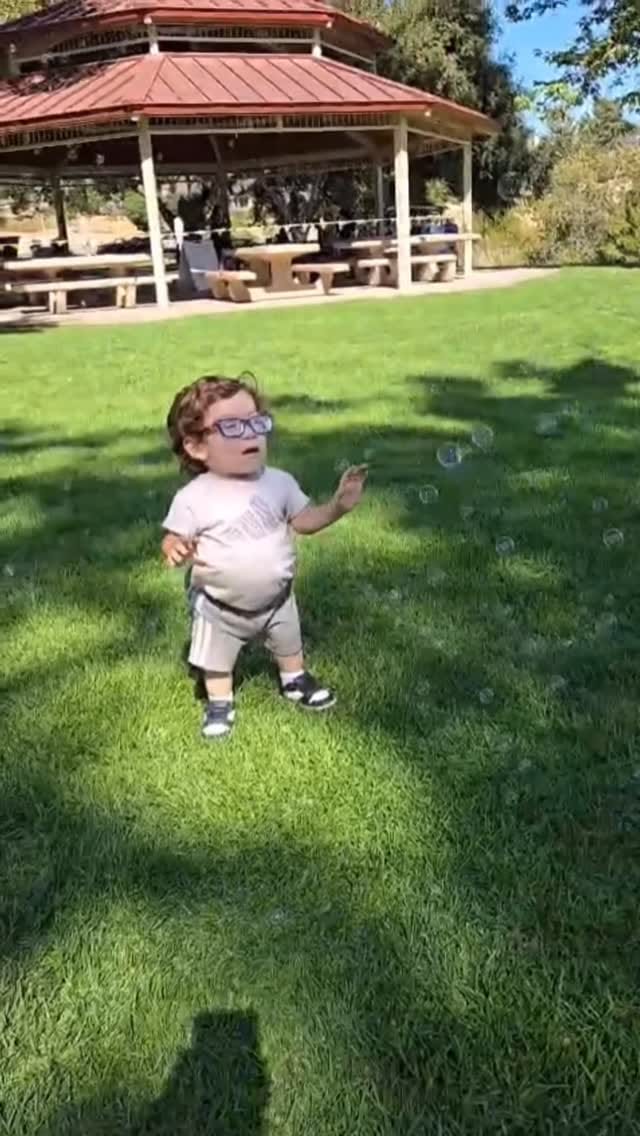 Post 7 by littleMateo on Instagram (video)