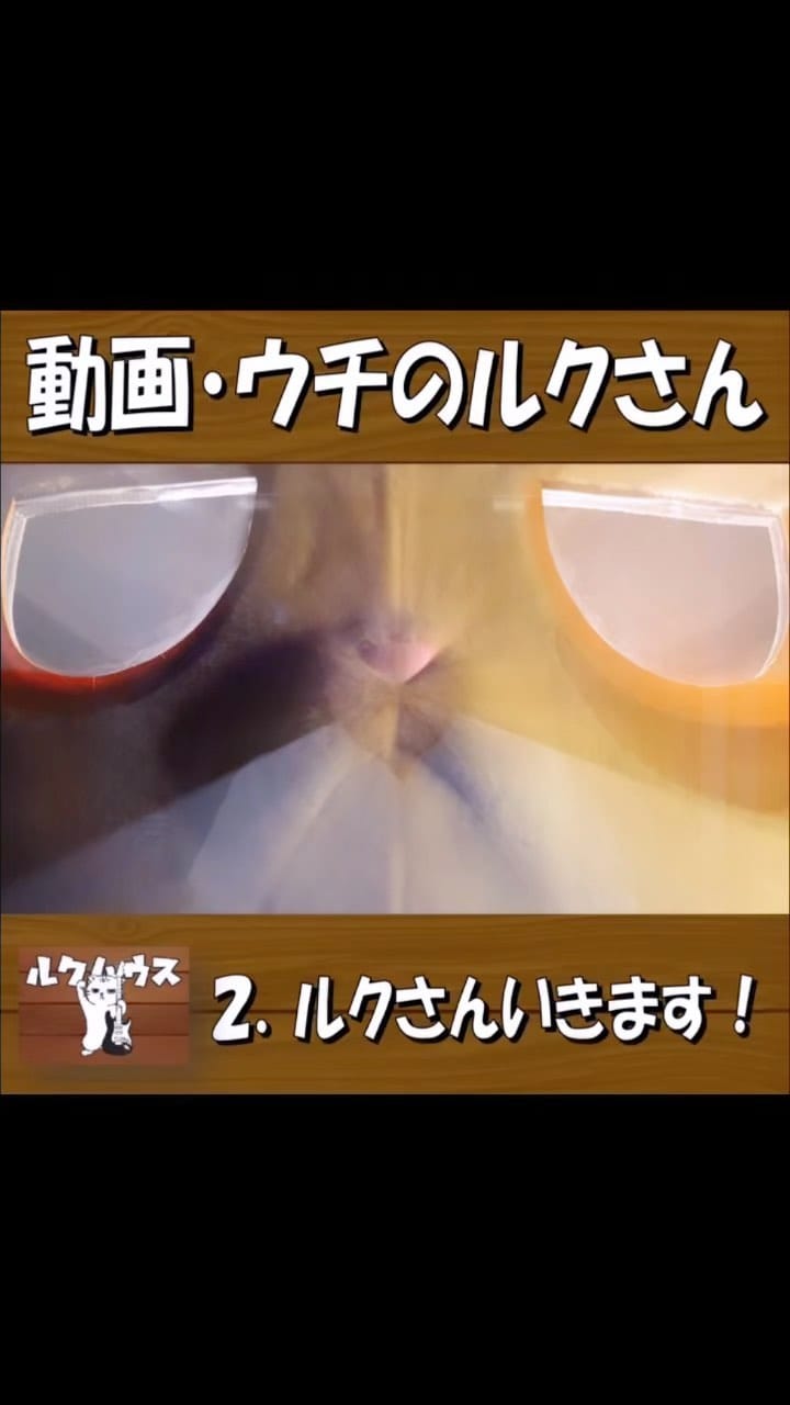 Post 9 by ルクハウス・ウーバールクさん【公式】　清水区/不動産/静岡市清水区/清水区不動産/不動産売却/静岡市/ウチのルクさん on Instagram (video)