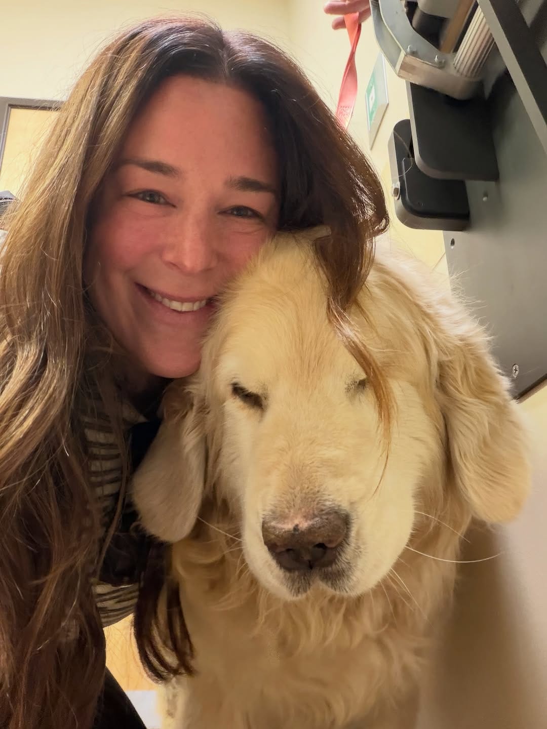 Post 5 by Garth the Golden on Instagram (carousel)