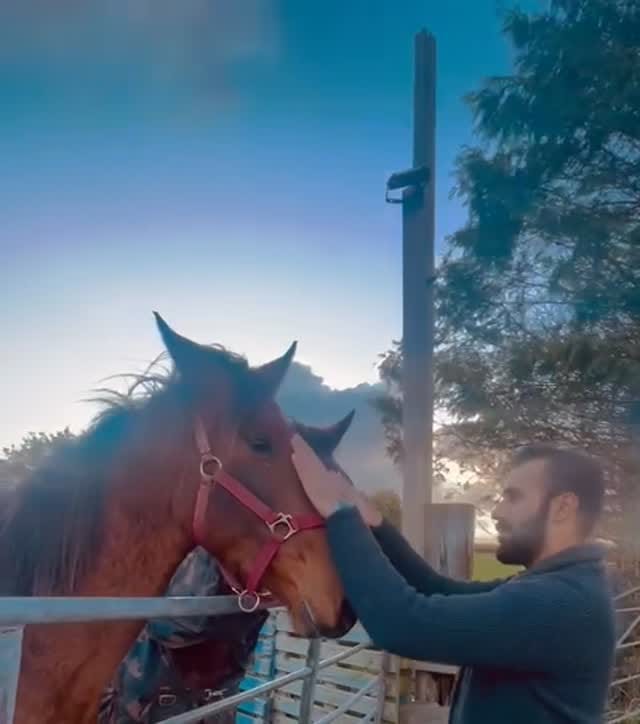 Post 5 by Francheska M Hutton on Instagram (video)