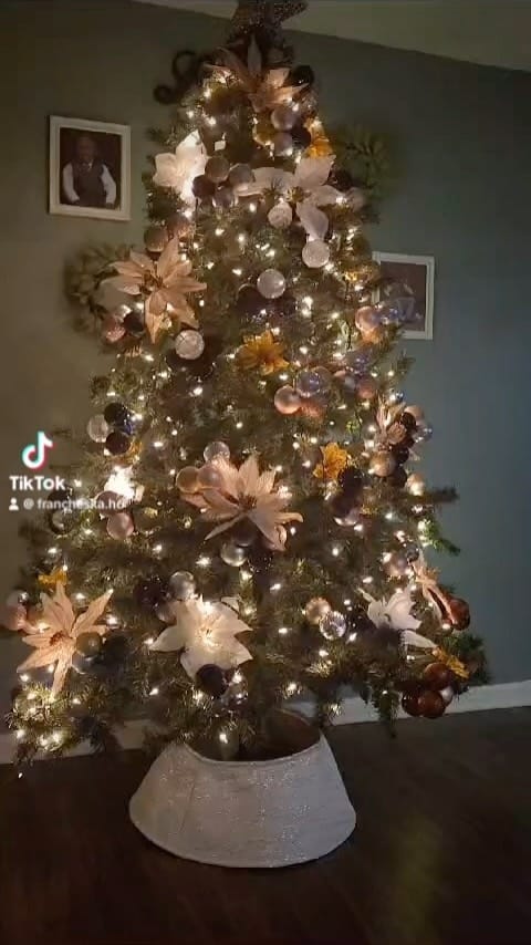 Post 10 by Francheska M Hutton on Instagram (video)