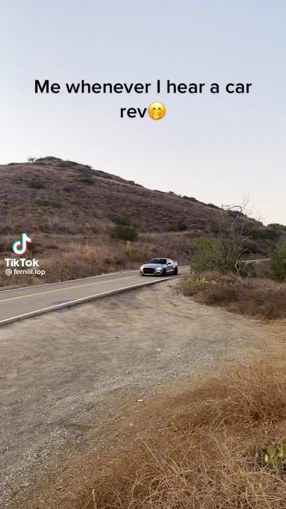 Post 2 by @mustang.obsessed on Instagram (video)