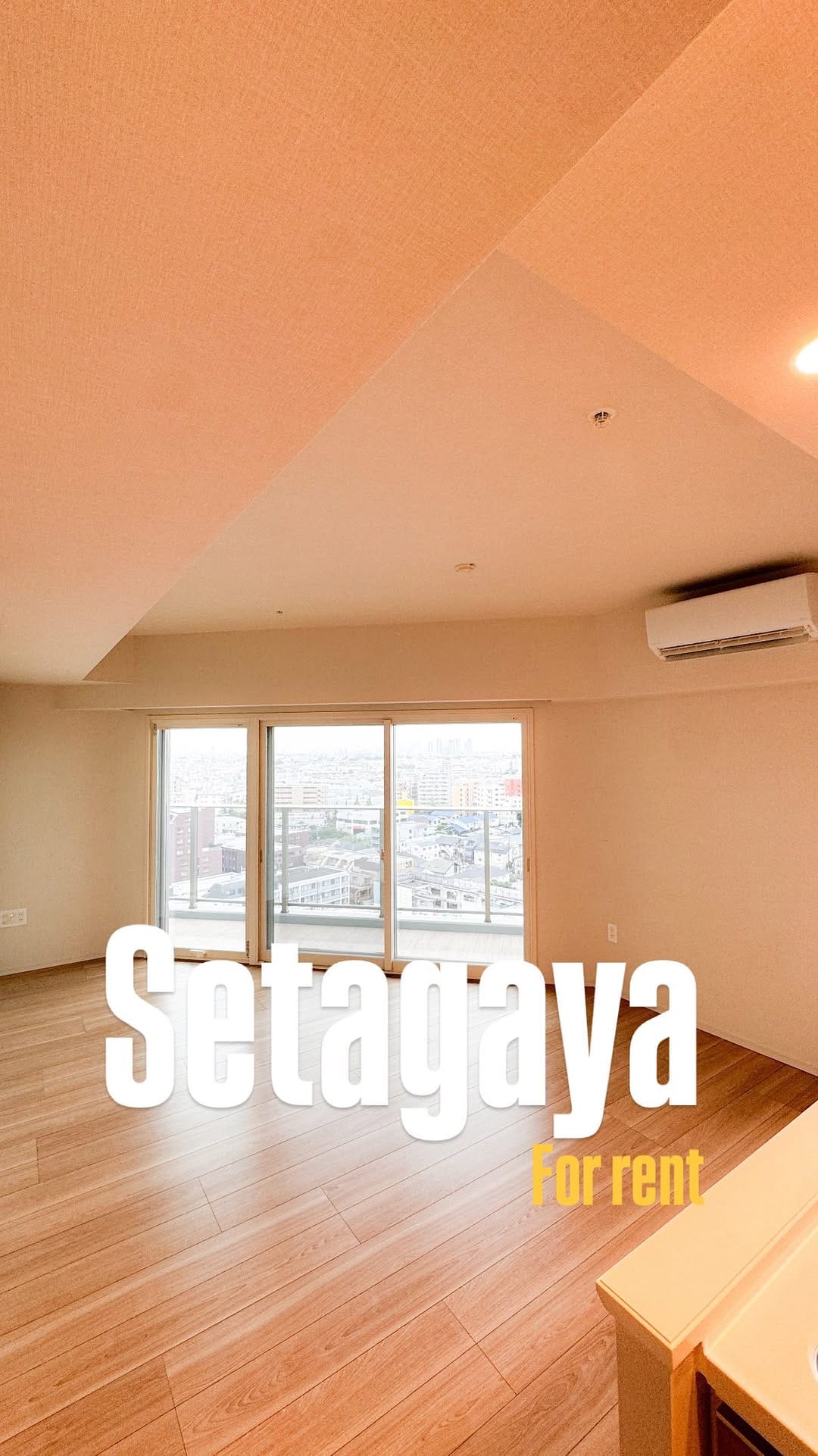 Post 2 by Yo | Tokyo Real Estate on Instagram (video)