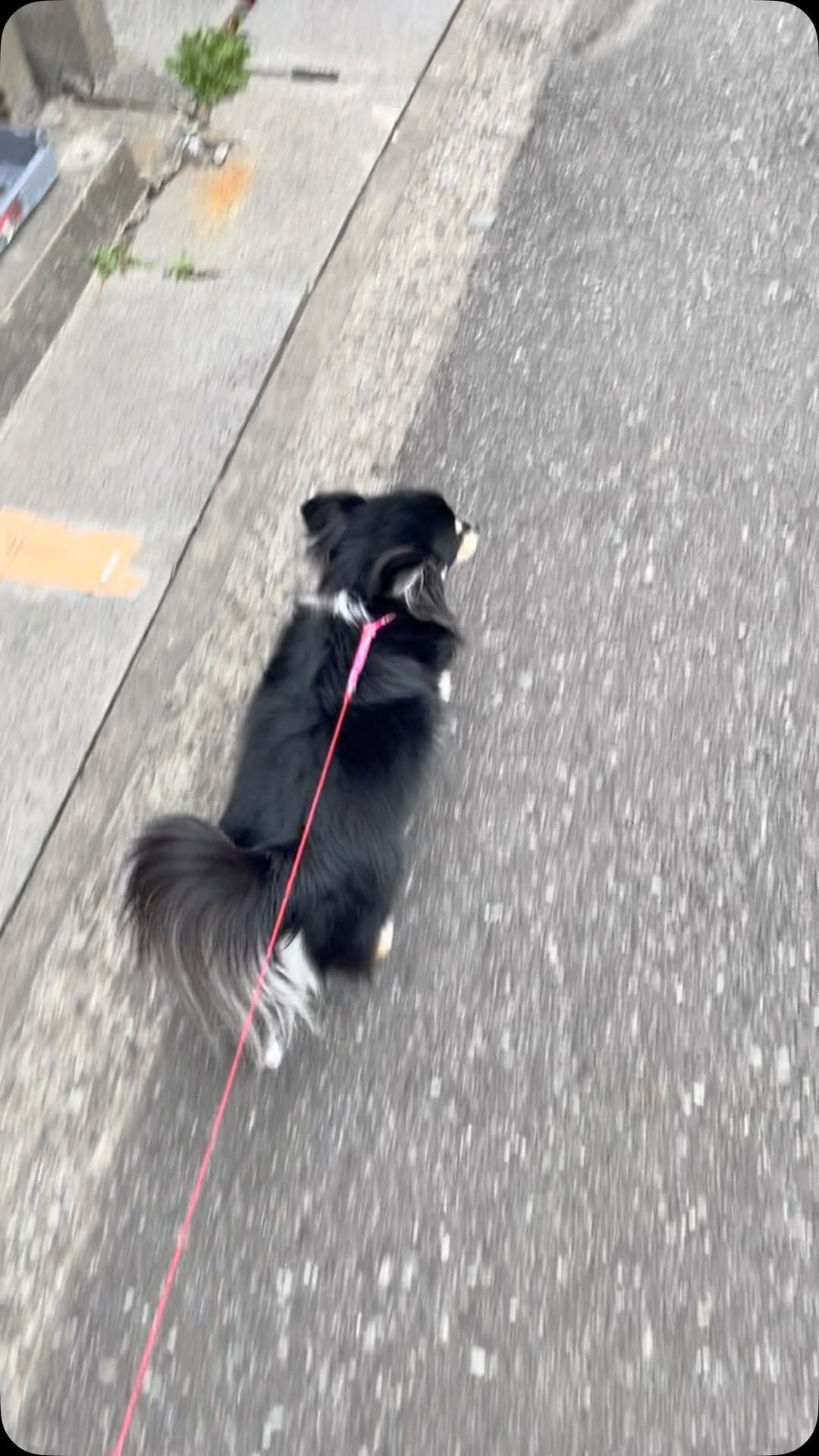 Post 2 by 田村建設　建設部 on Instagram (video)