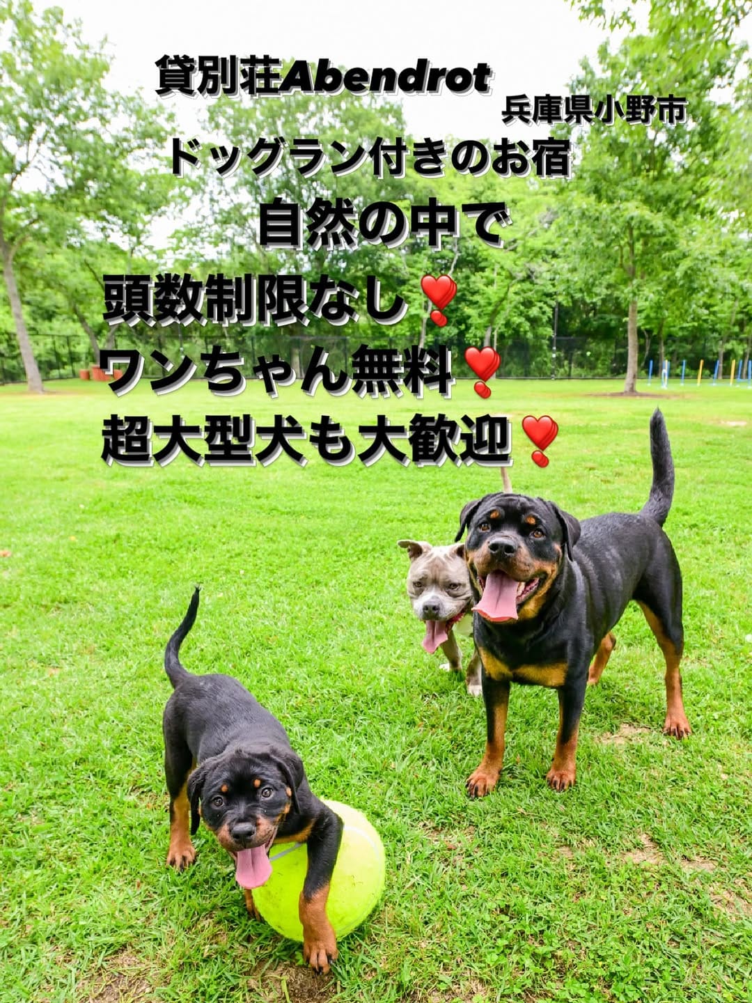 Post 2 by 貸別荘 アーベントロート on Instagram (image)