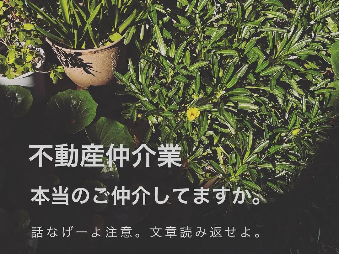 Post 10 by HOUSE STORE／KOH+ on Instagram (image)