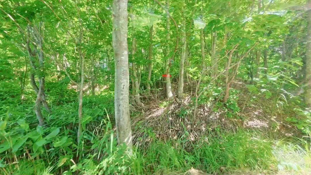 Post 1 by 株式会社　堀口組 on Instagram (video)