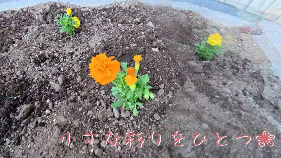 Post 10 by 株式会社　堀口組 on Instagram (video)