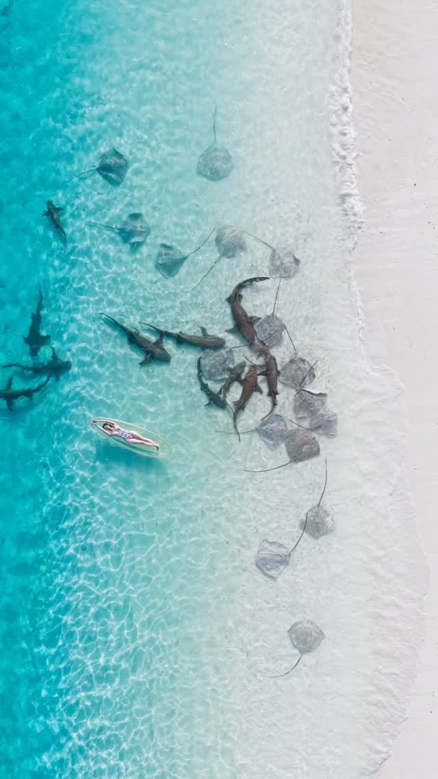 Post 4 by Rafhan Ahmed | Maldives on Instagram (video)