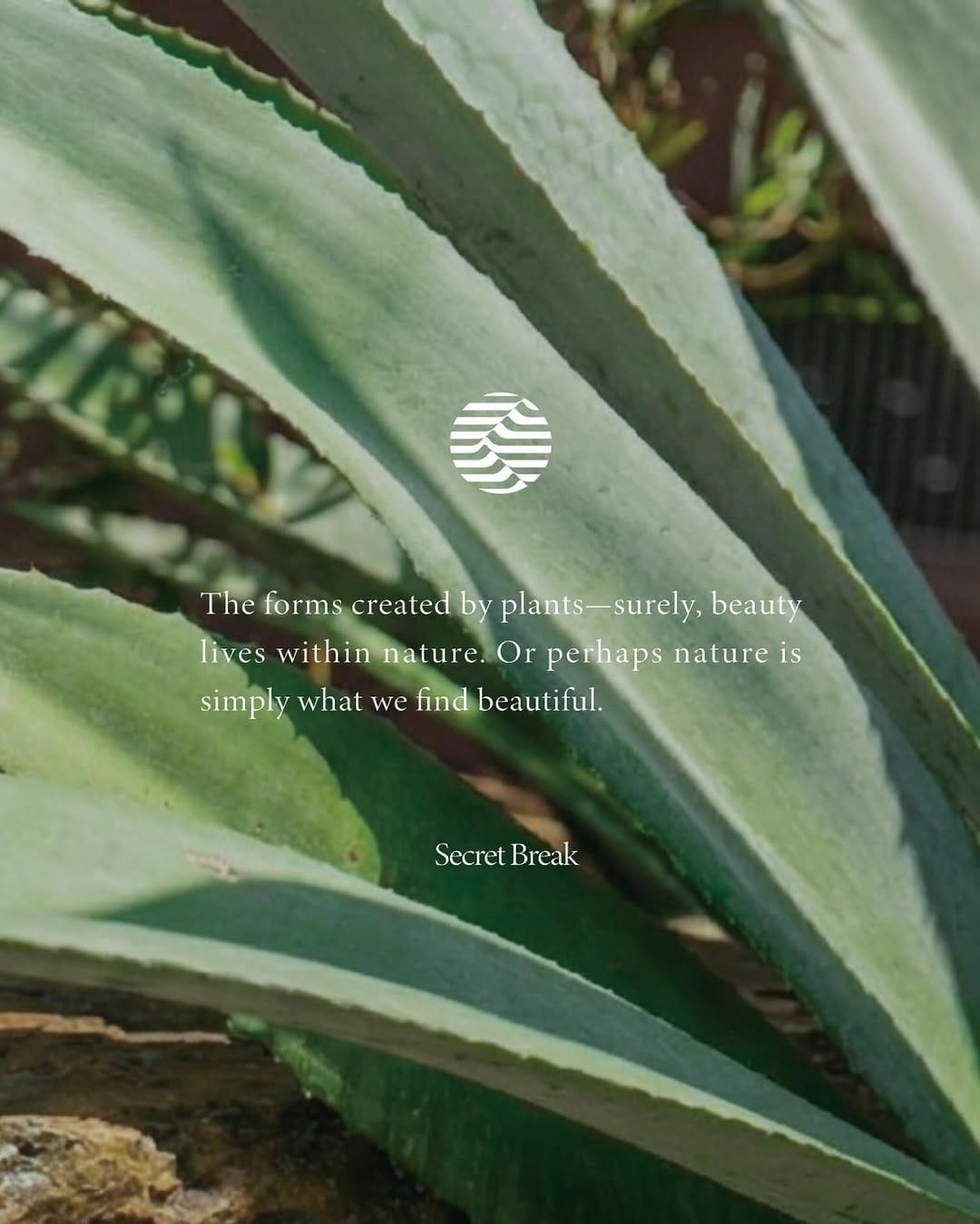 Post 5 by Secret Break on Instagram (image)