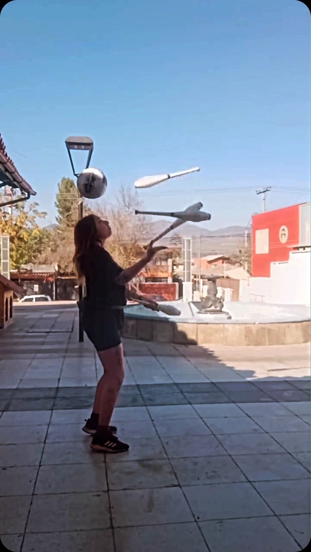 Post 6 by Tricky Chicks on Instagram (video)
