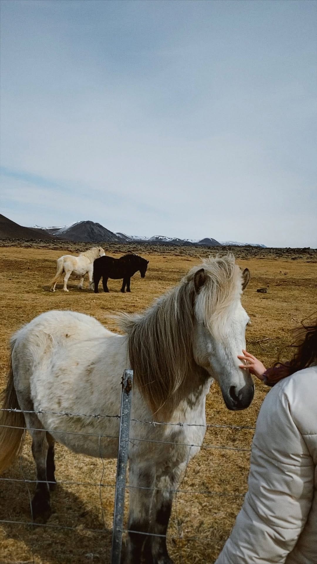 Post 10 by Lisa Zhadenova on Instagram (video)
