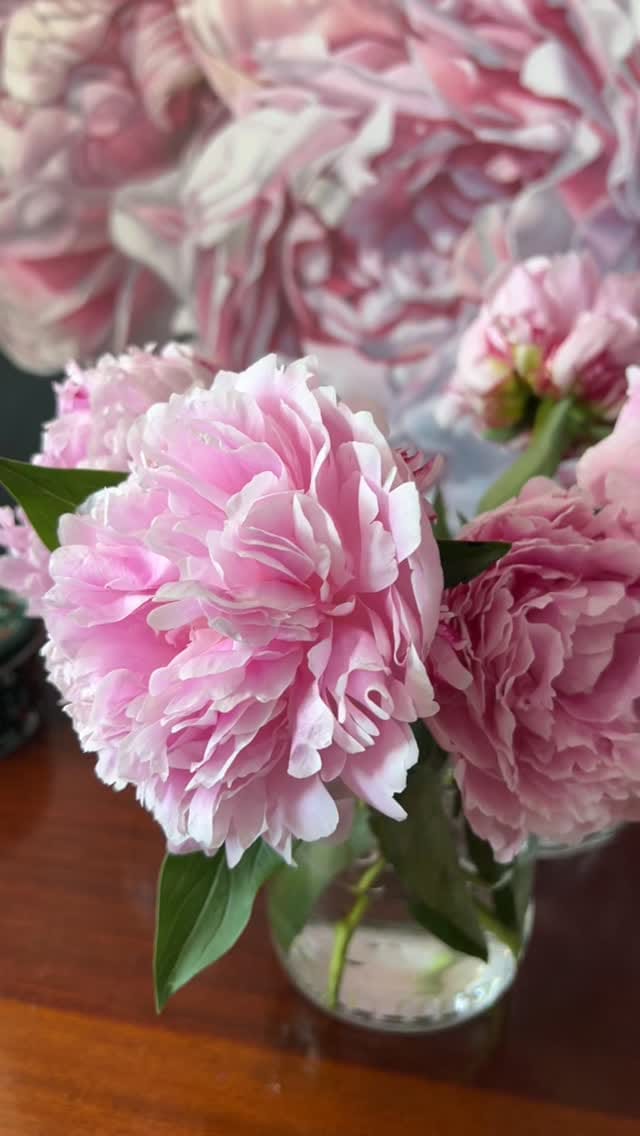 Post 3 by Maria Marta Morelli on Instagram (video)