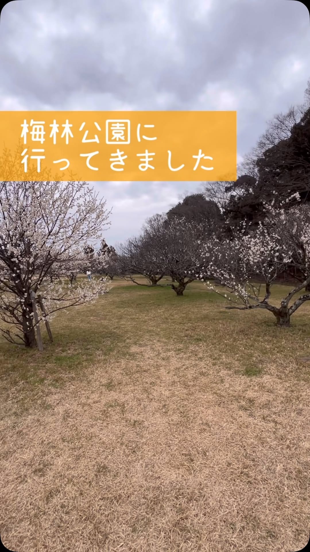 Post 6 by 株式会社田村建設 本店 on Instagram (video)