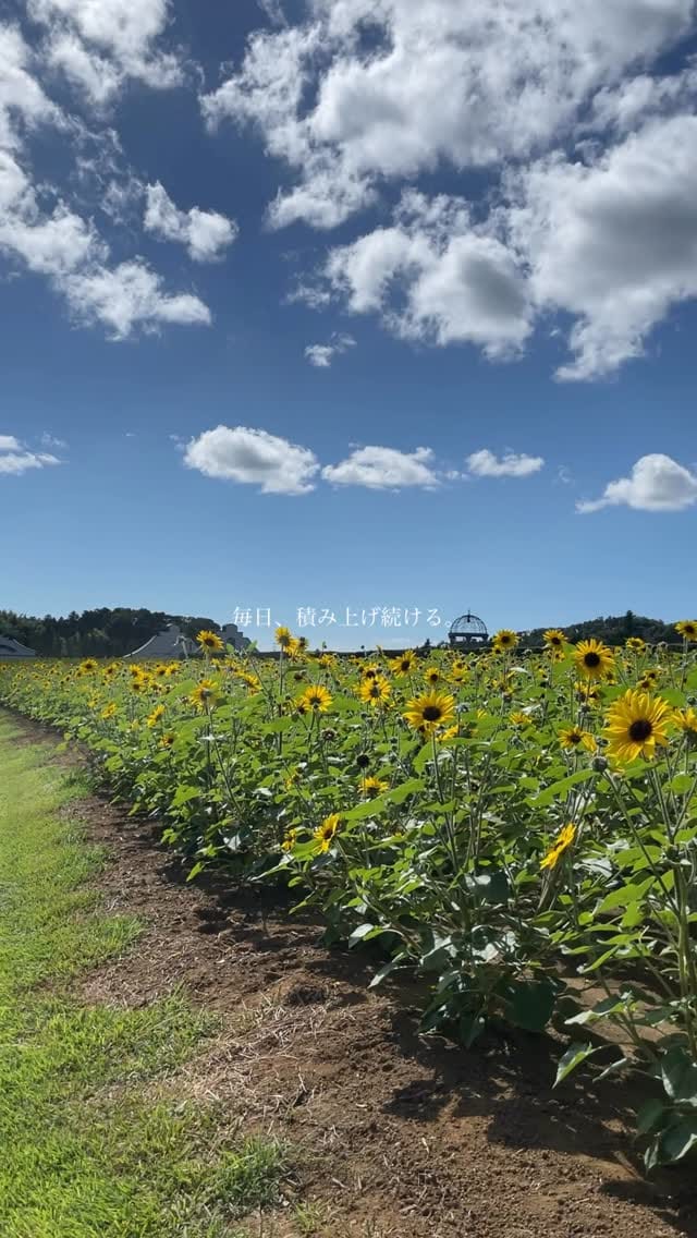 Post 1 by 横江 大貴【お困り事に特化したリフォーム屋さん】 on Instagram (video)