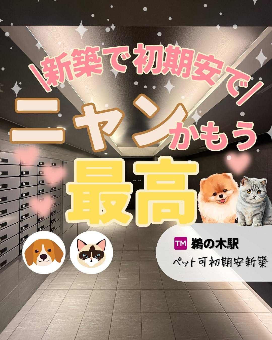 Post 5 by ペットと暮らせる賃貸物件情報🐾｜お部屋探しヴィダックス on Instagram (carousel)