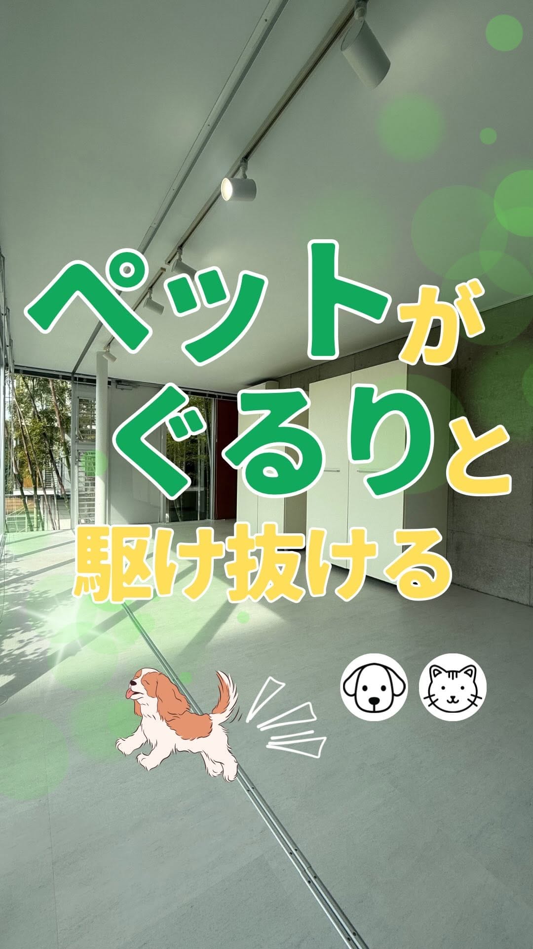 Post 8 by ペットと暮らせる賃貸物件情報🐾｜お部屋探しヴィダックス on Instagram (video)