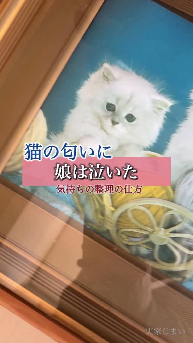 Post 4 by 実家じまいの藤原先生 on Instagram (video)