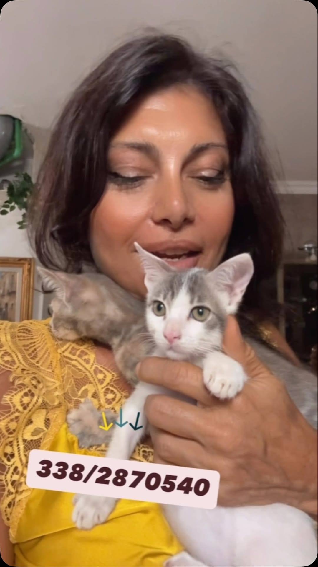 Post 1 by Paola Mercurio on Instagram (video)