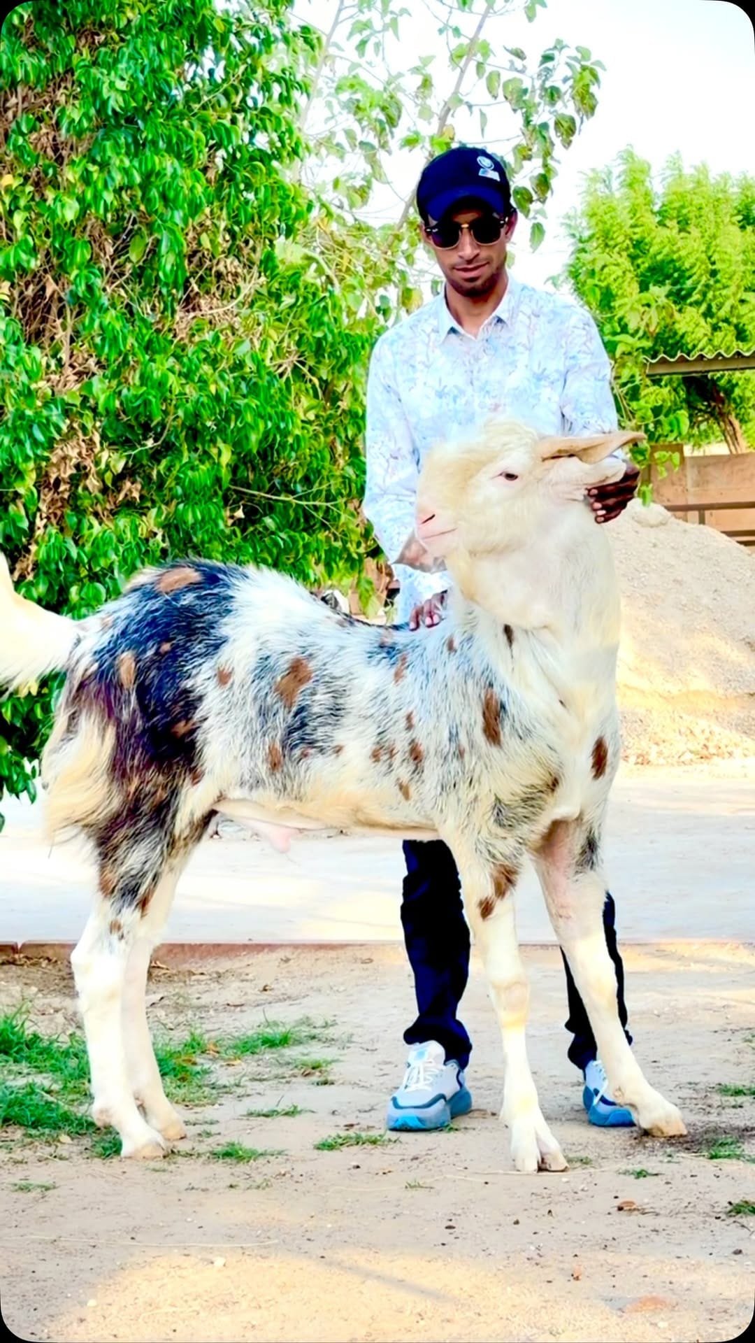 Post 6 by khan goat Farm on Instagram (video)