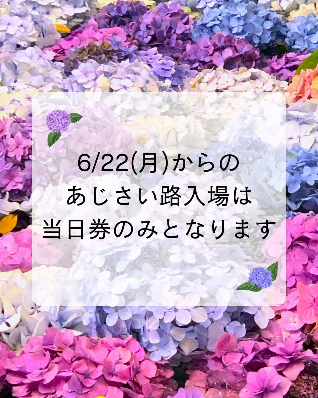 Post 8 by 鎌倉　長谷寺  （公式Instagram） on Instagram (image)