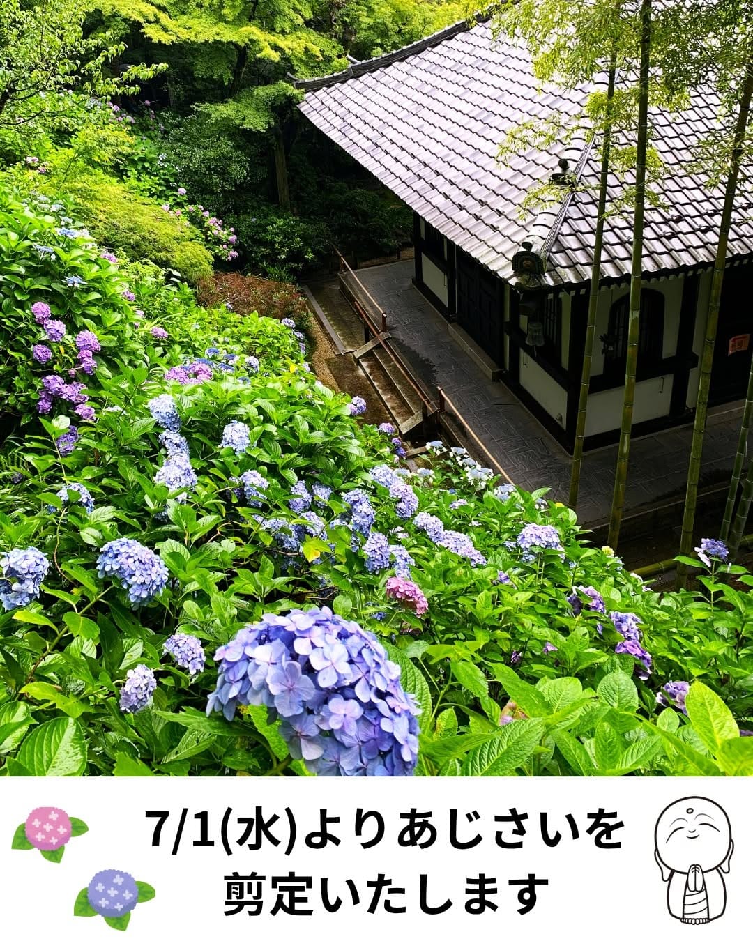 Post 2 by 鎌倉　長谷寺  （公式Instagram） on Instagram (image)