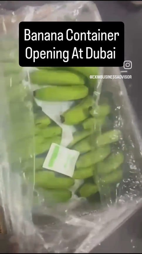 Post 6 by KlickExim Trading LLC on Instagram (video)