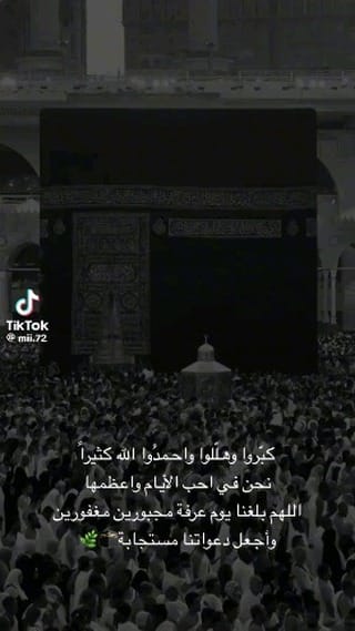 Post 2 by Amer Okaily on Instagram (video)