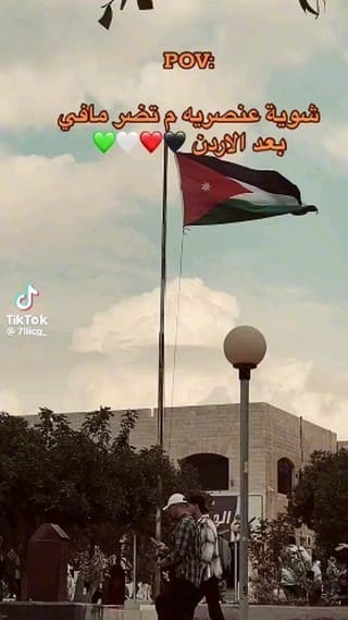 Post 3 by Amer Okaily on Instagram (video)