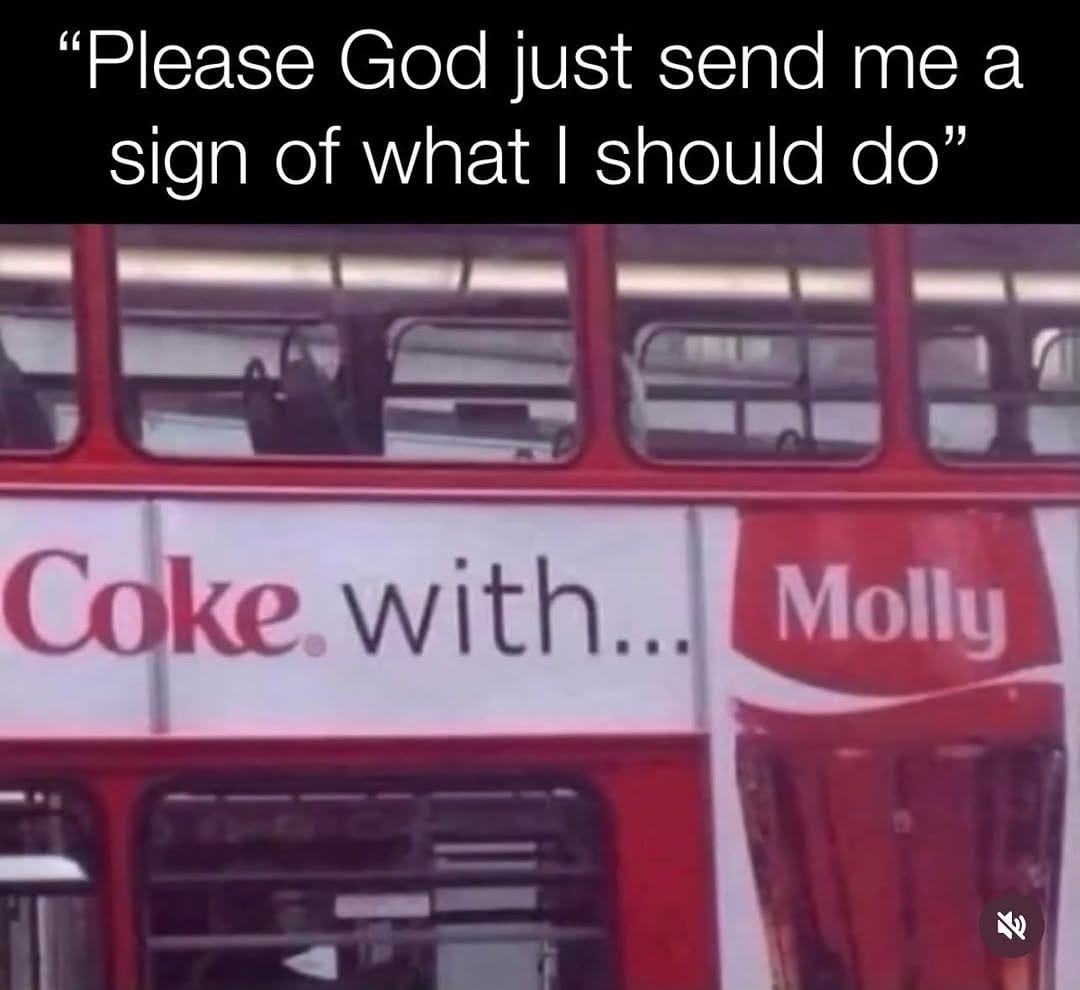 Post 1 by Mollie Quest on Instagram (image)